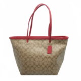 BAG3205a
